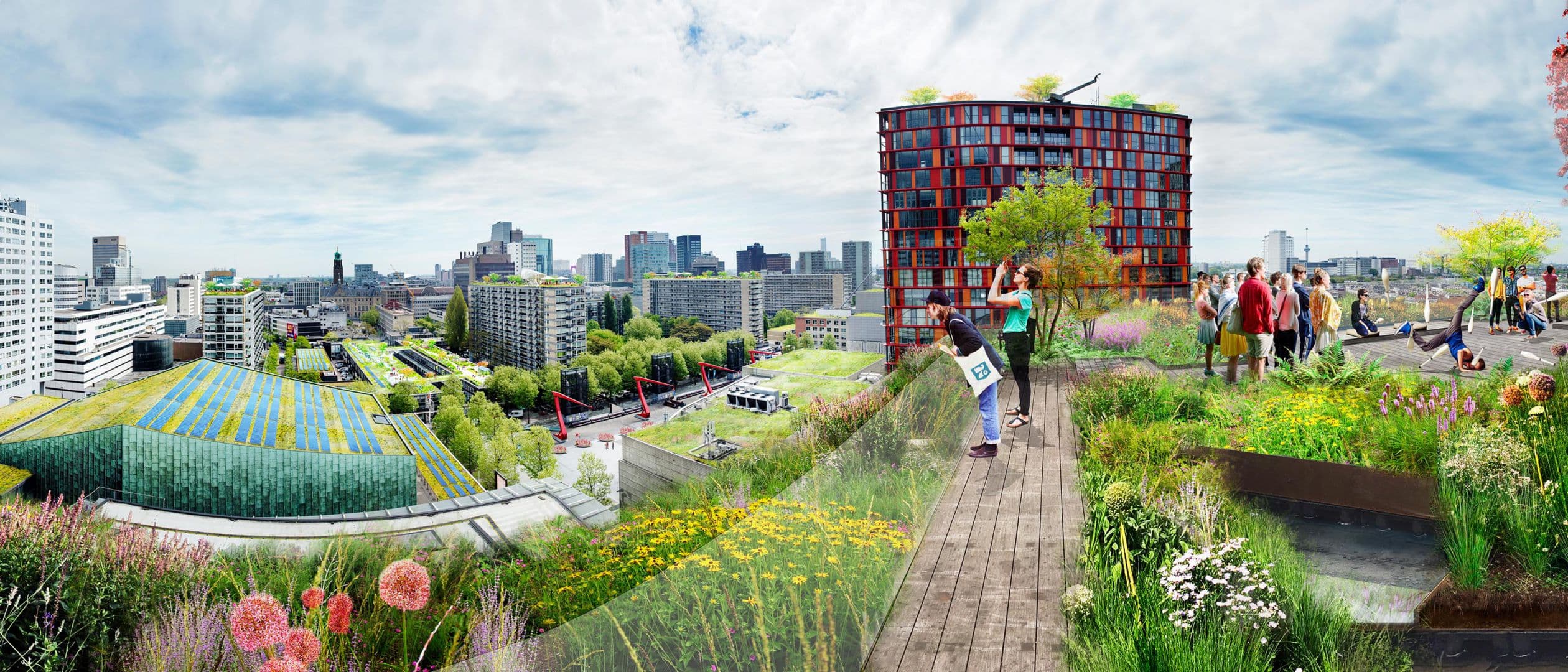 landschapsarchitectuur