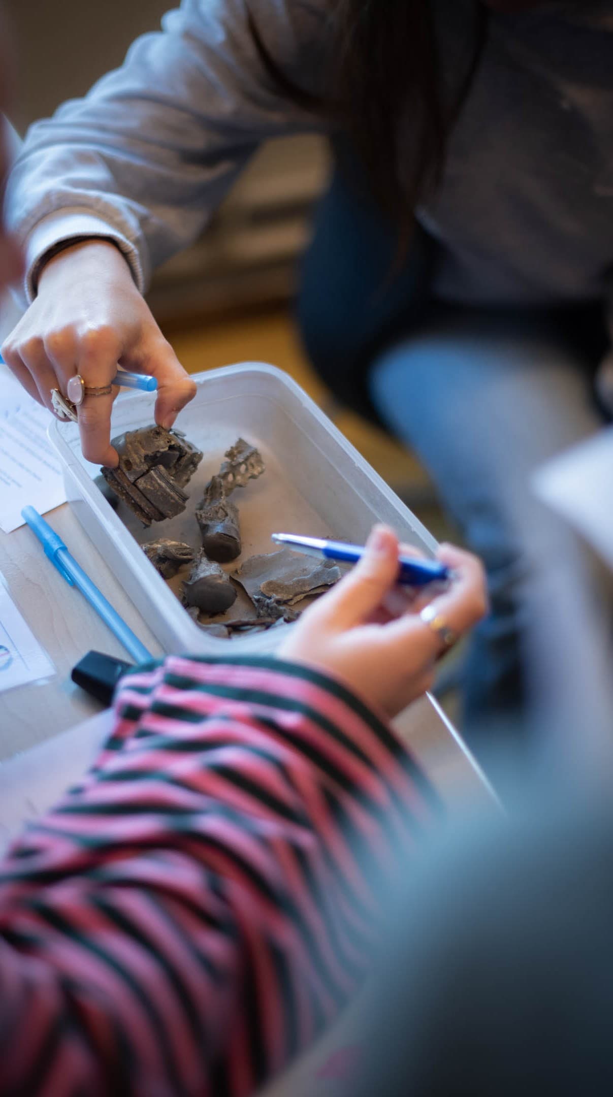 Studiestap 20 nov 2026-5